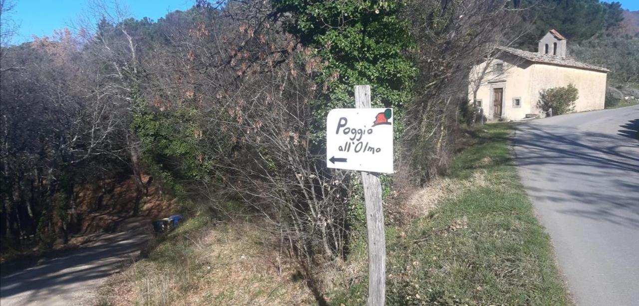 הוילה גרבה אין קיאנטי Agriturismo Poggio All'Olmo מראה חיצוני תמונה