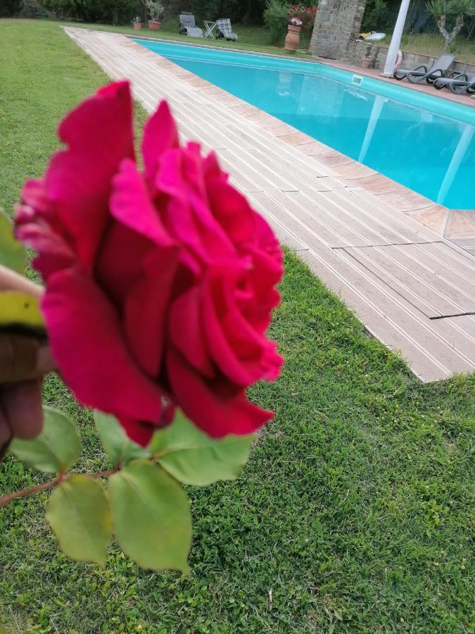 הוילה גרבה אין קיאנטי Agriturismo Poggio All'Olmo מראה חיצוני תמונה