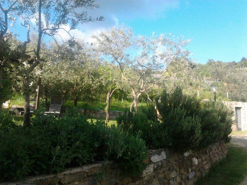 הוילה גרבה אין קיאנטי Agriturismo Poggio All'Olmo מראה חיצוני תמונה