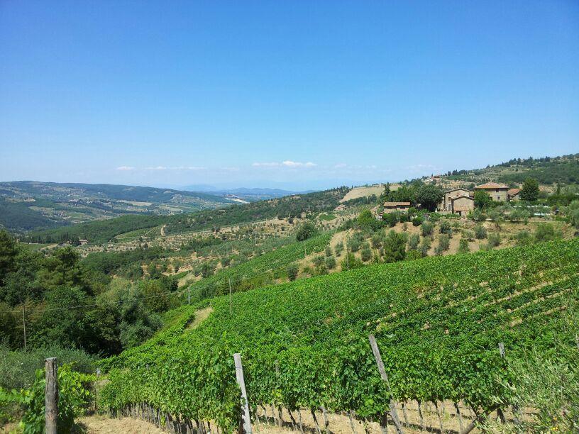 הוילה גרבה אין קיאנטי Agriturismo Poggio All'Olmo מראה חיצוני תמונה