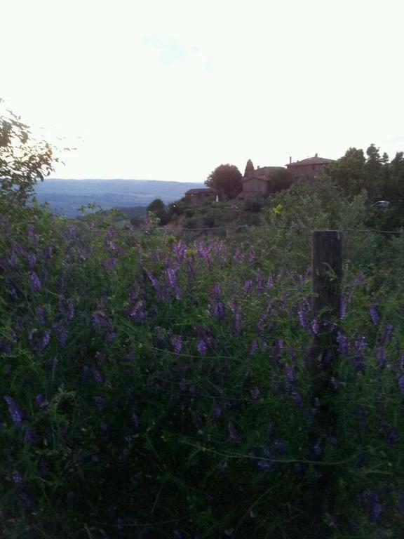 הוילה גרבה אין קיאנטי Agriturismo Poggio All'Olmo מראה חיצוני תמונה
