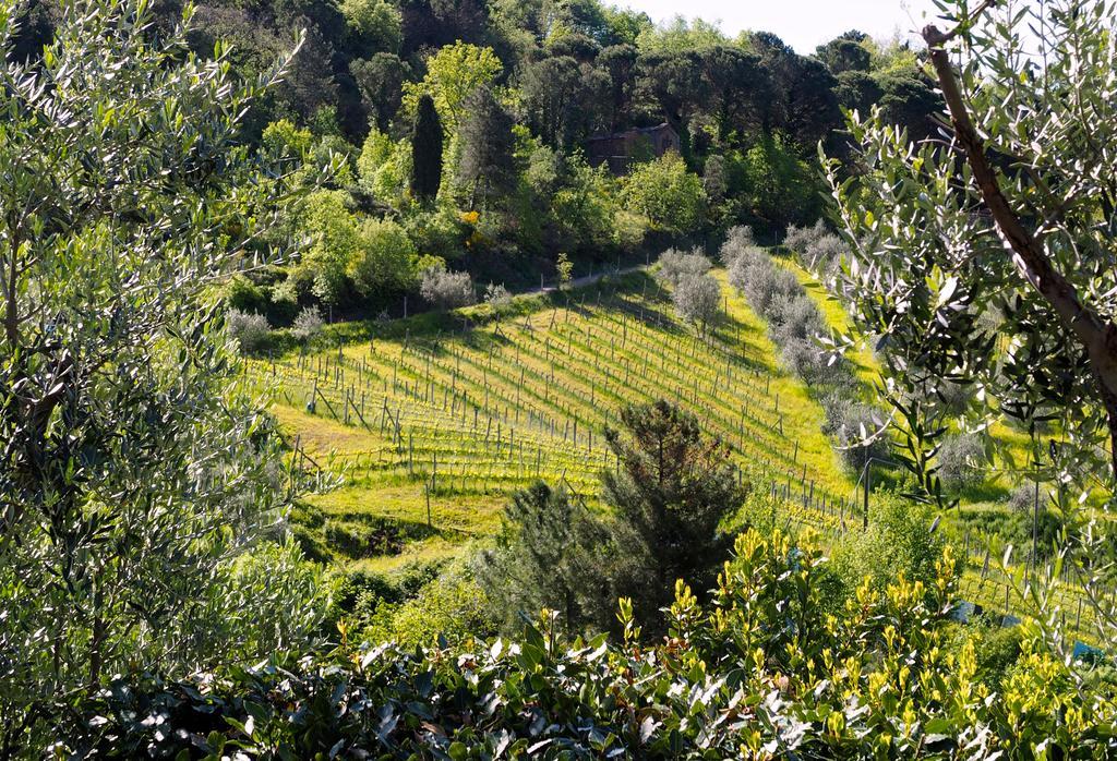 הוילה גרבה אין קיאנטי Agriturismo Poggio All'Olmo מראה חיצוני תמונה